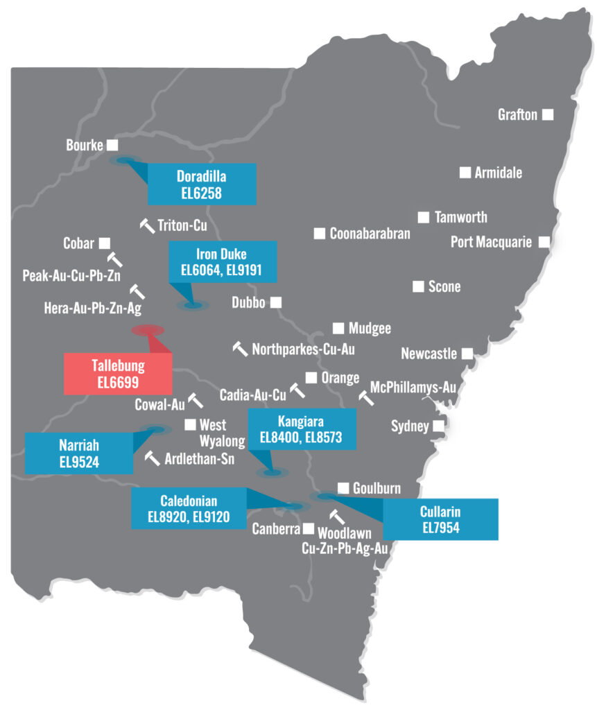 NSW Map Tallebung 2024